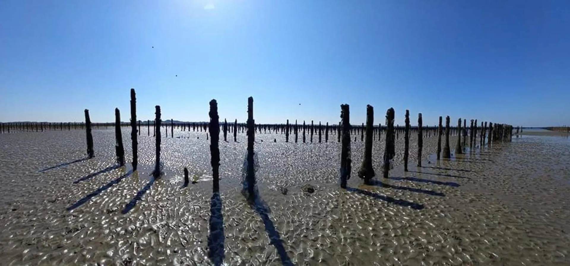 Maison Bretonne Proche Plage Pénestin